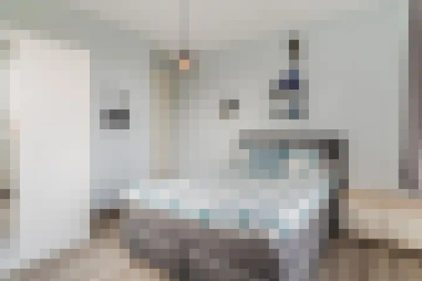 Bijenveld 14 Asten thumbnail 55