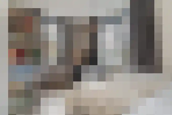 Bijenveld 14 Asten thumbnail 56