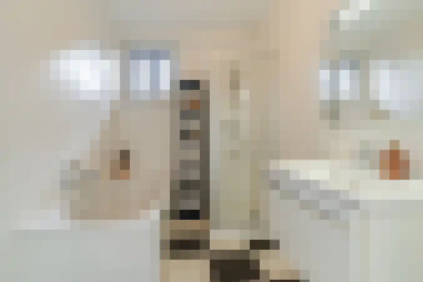 Bijenveld 14 Asten thumbnail 63