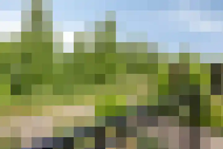 Bijenveld 14 Asten thumbnail 67