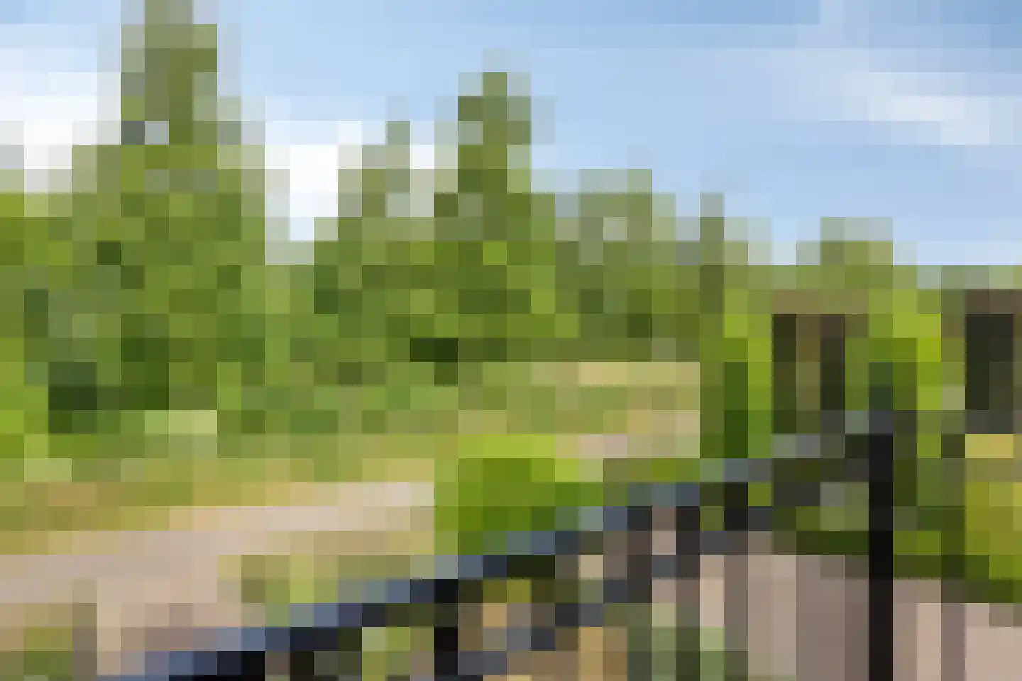 Bijenveld 14 Asten thumbnail 67