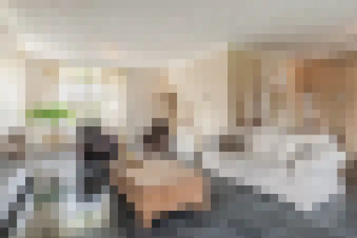 Bijenveld 14 Asten thumbnail 7