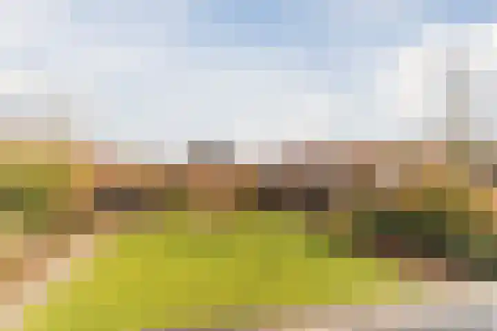 Bijenveld 14 Asten thumbnail 75