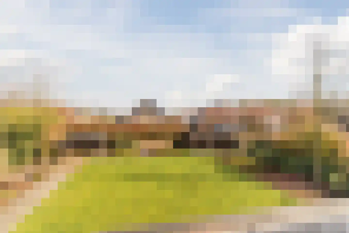 Bijenveld 14 Asten thumbnail 75