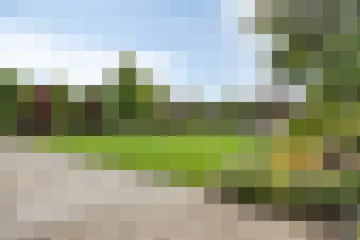 Bijenveld 14 Asten thumbnail 76