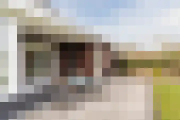 Bijenveld 14 Asten thumbnail 77