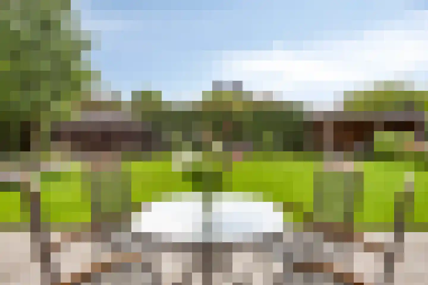 Bijenveld 14 Asten thumbnail 78