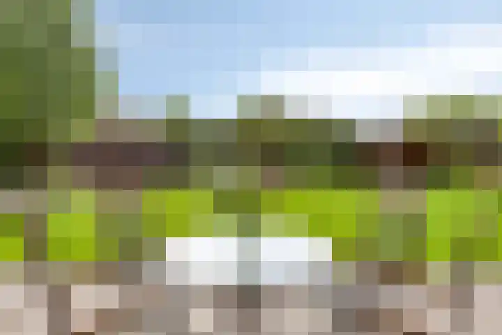 Bijenveld 14 Asten thumbnail 78