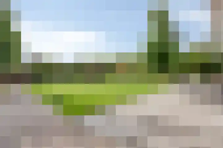 Bijenveld 14 Asten thumbnail 79
