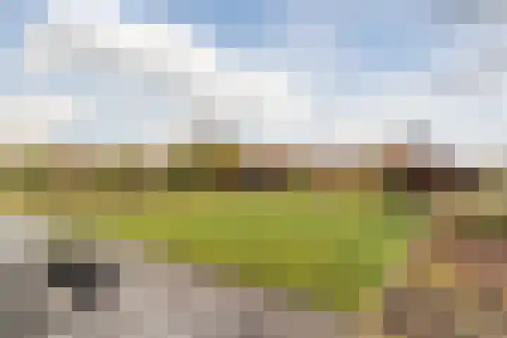 Bijenveld 14 Asten thumbnail 80