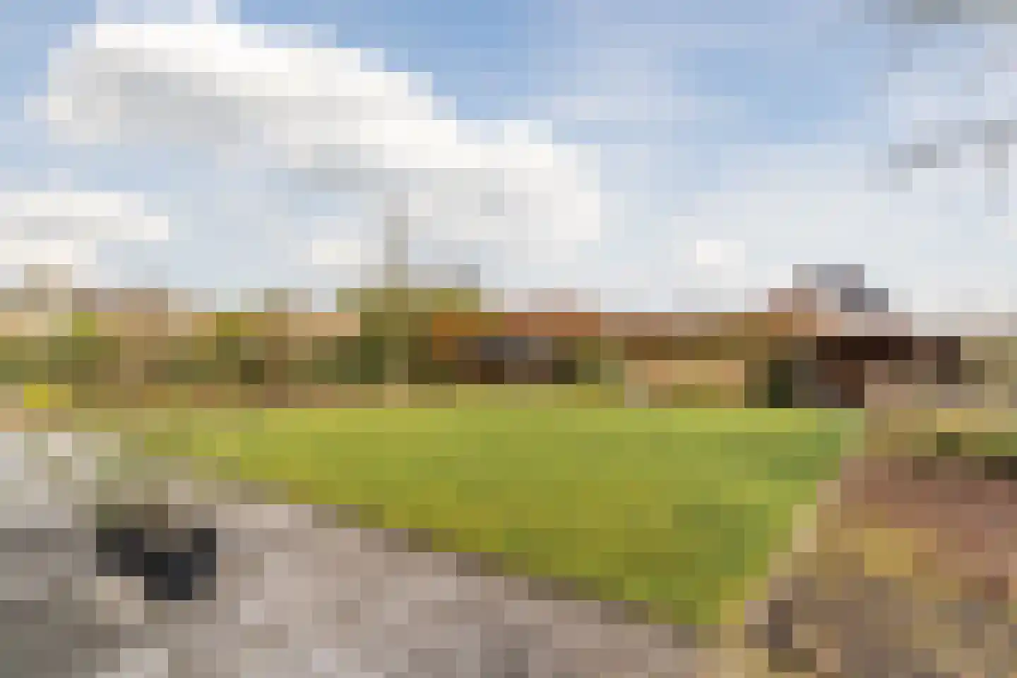 Bijenveld 14 Asten thumbnail 80