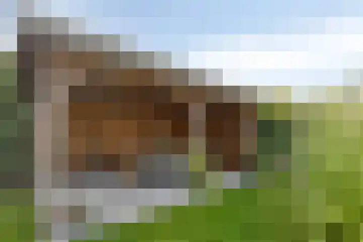 Bijenveld 14 Asten thumbnail 81