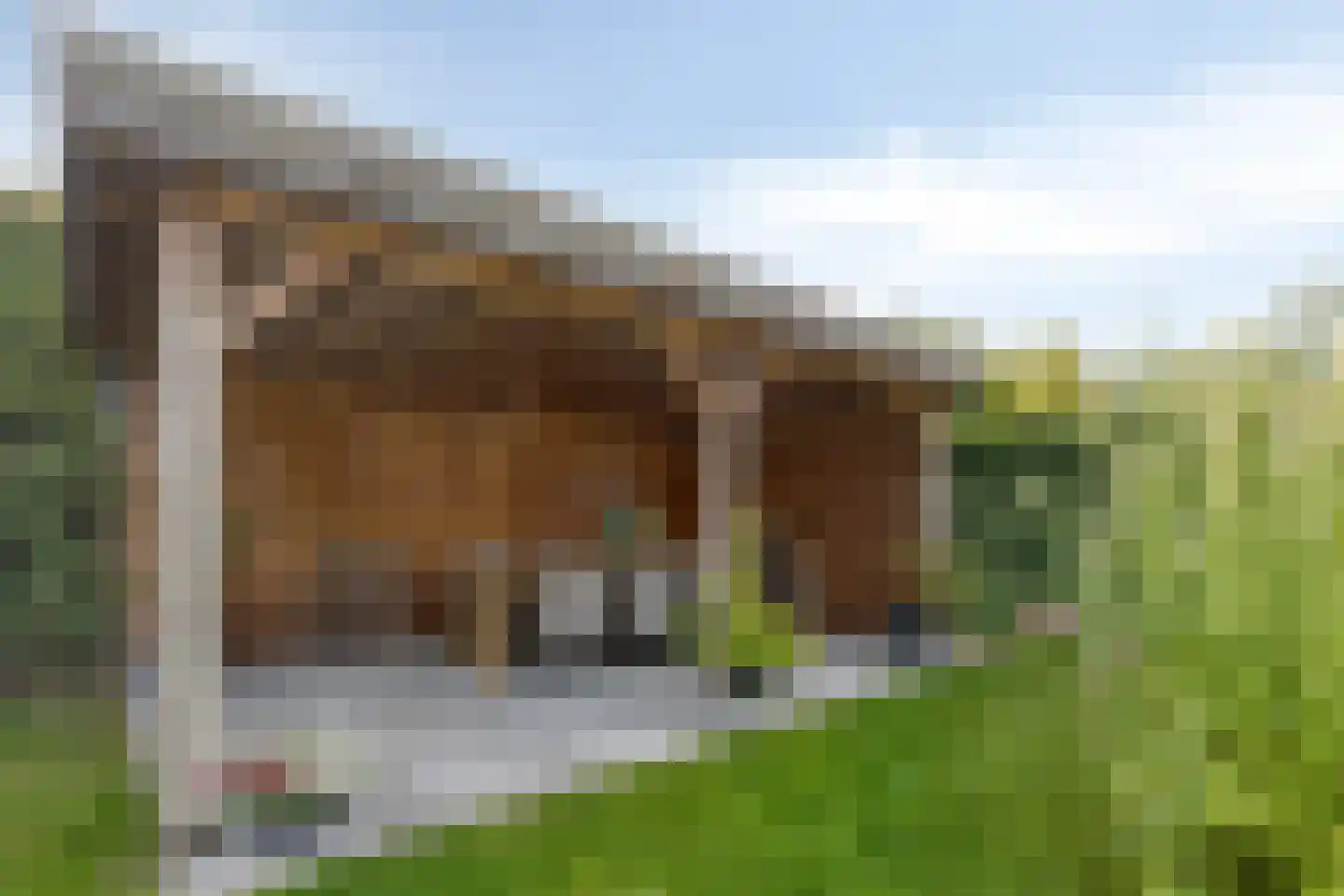 Bijenveld 14 Asten thumbnail 81