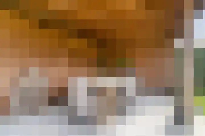 Bijenveld 14 Asten thumbnail 82