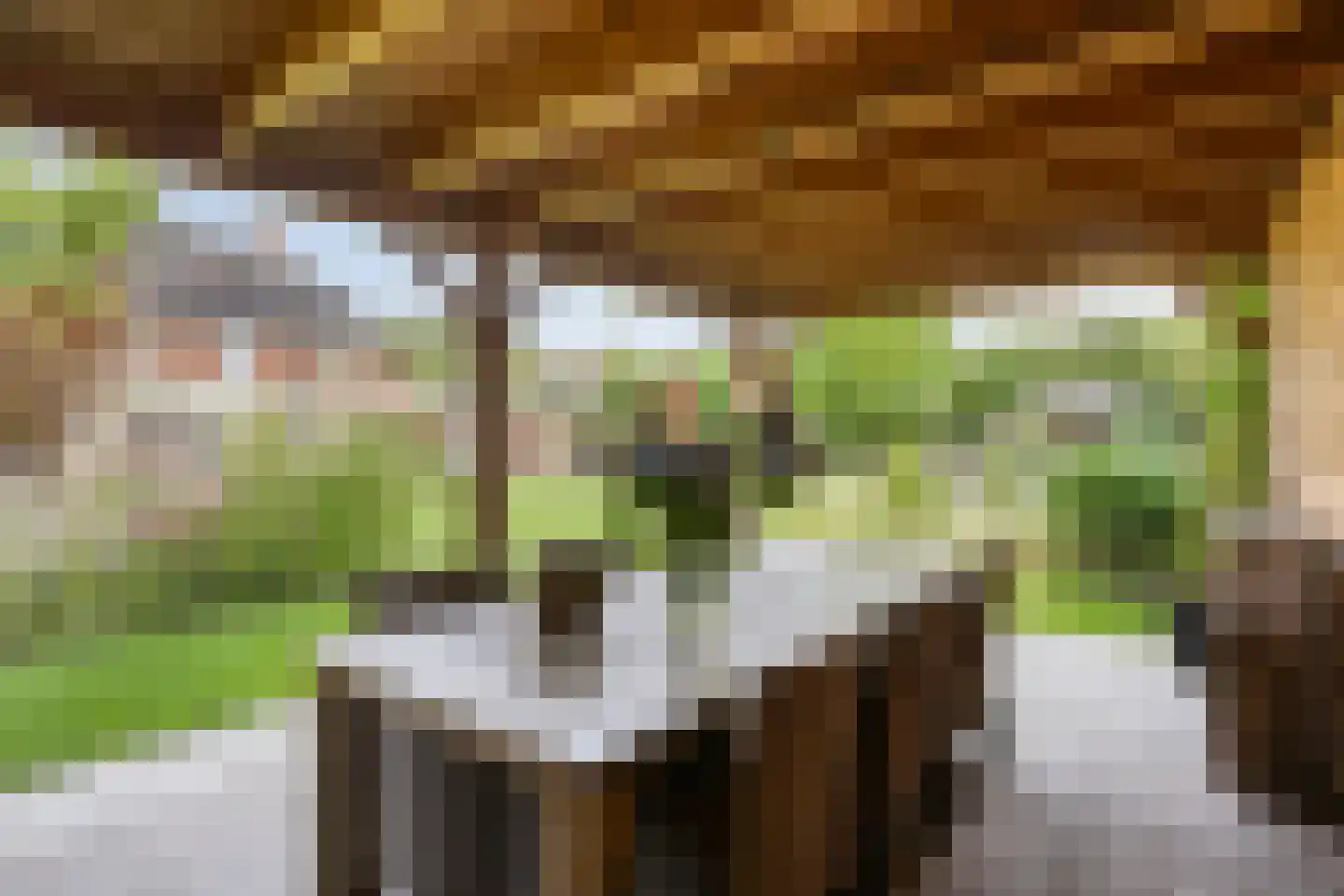 Bijenveld 14 Asten thumbnail 83