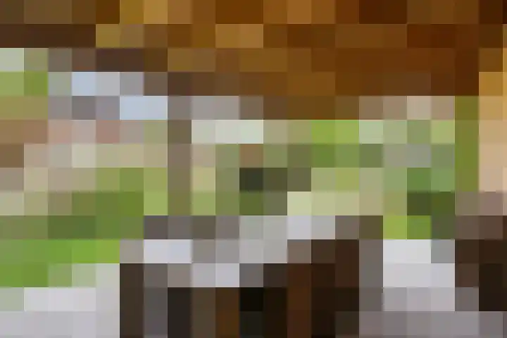 Bijenveld 14 Asten thumbnail 83