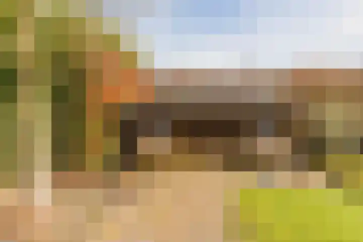 Bijenveld 14 Asten thumbnail 84