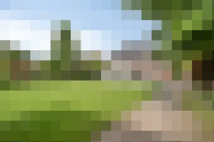 Bijenveld 14 Asten thumbnail 85