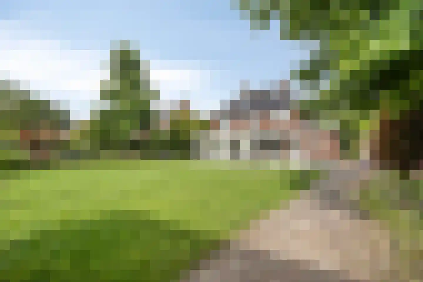 Bijenveld 14 Asten thumbnail 85