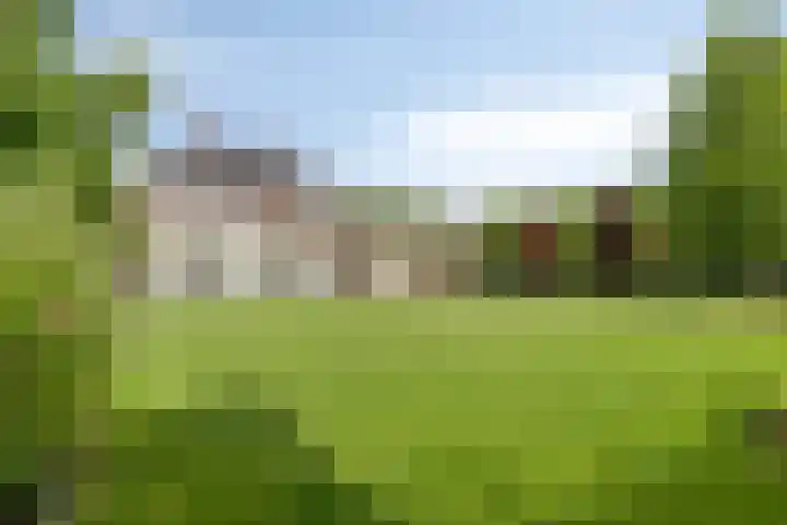 Bijenveld 14 Asten thumbnail 86