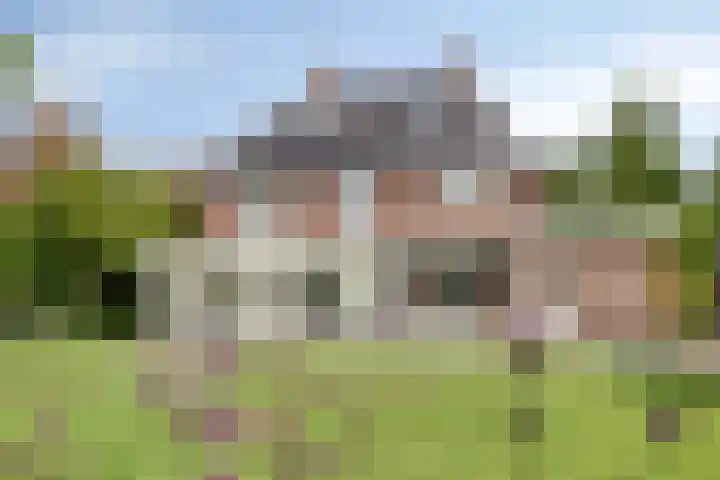 Bijenveld 14 Asten thumbnail 87
