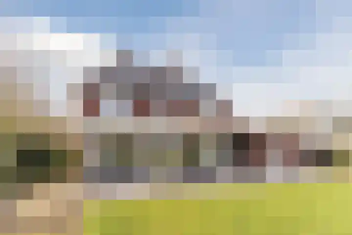 Bijenveld 14 Asten thumbnail 88