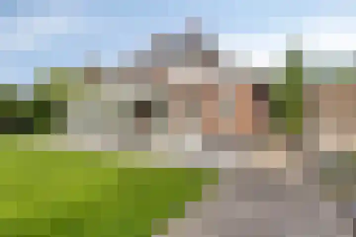 Bijenveld 14 Asten thumbnail 89
