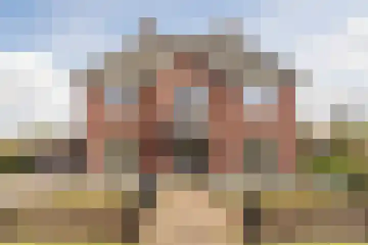 Bijenveld 14 Asten thumbnail 90