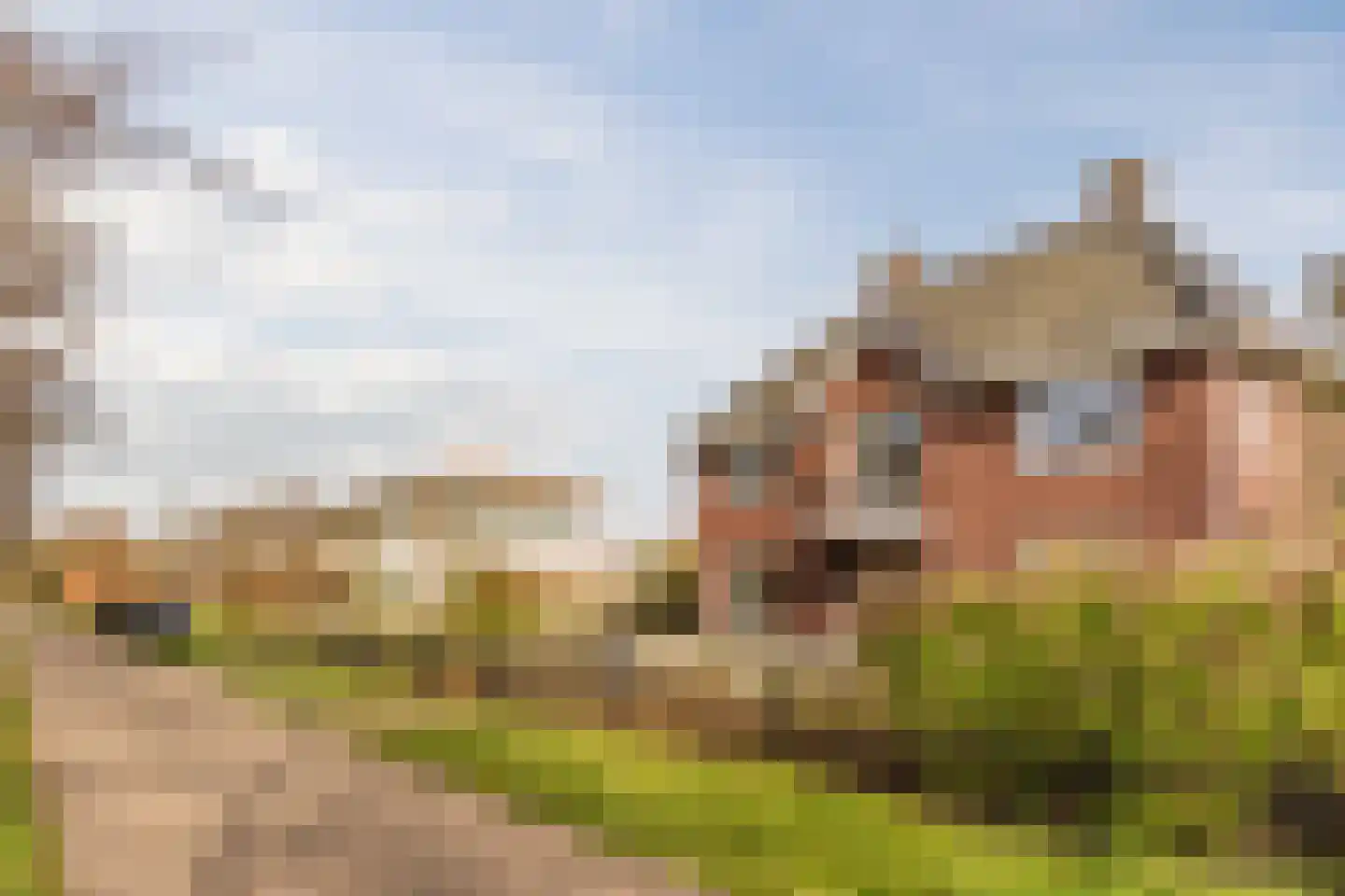 Bijenveld 14 Asten thumbnail 92