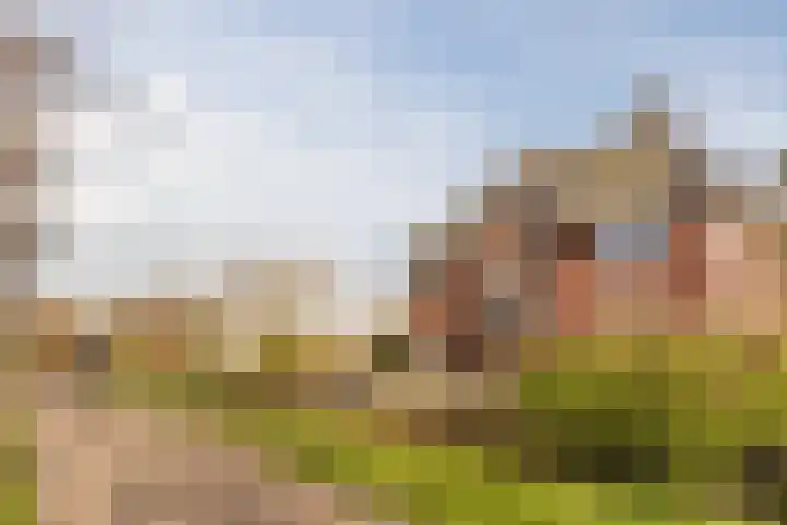 Bijenveld 14 Asten thumbnail 92
