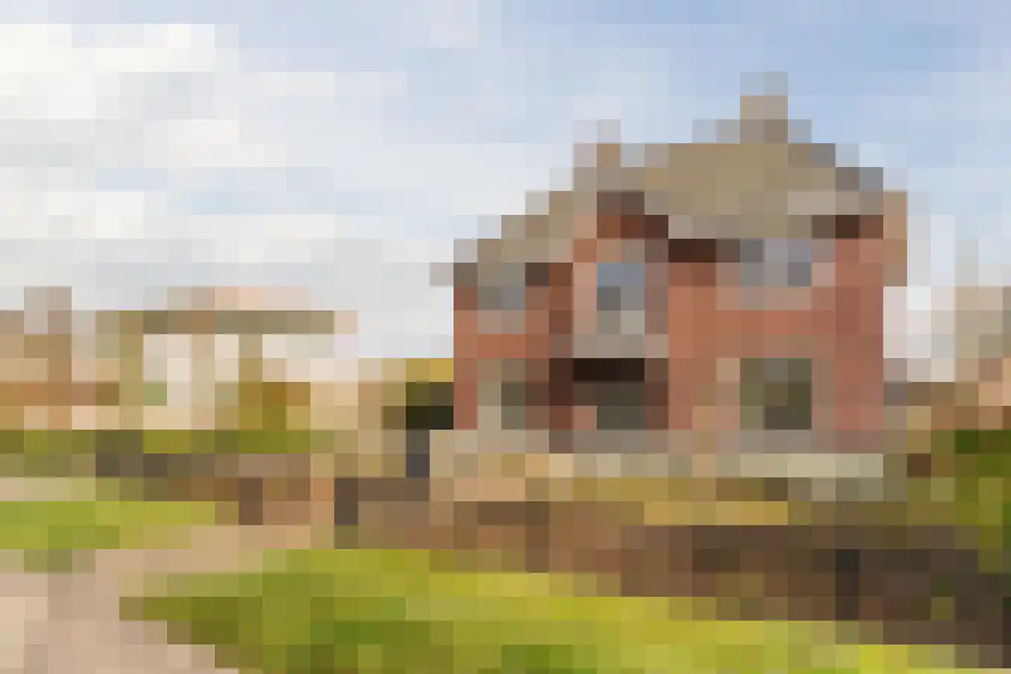 Bijenveld 14 Asten thumbnail 93