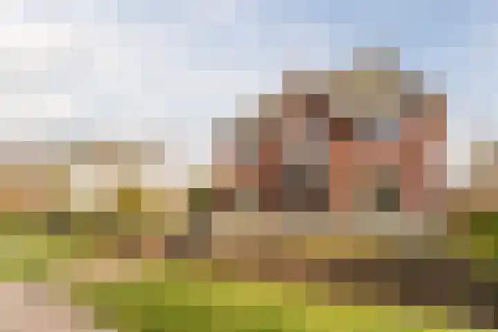 Bijenveld 14 Asten thumbnail 93