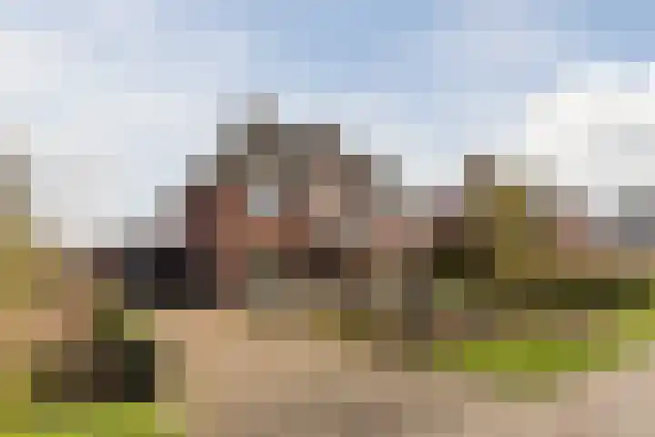 Bijenveld 14 Asten thumbnail 94