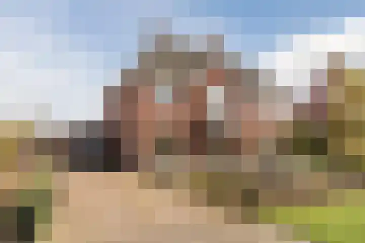 Bijenveld 14 Asten thumbnail 96