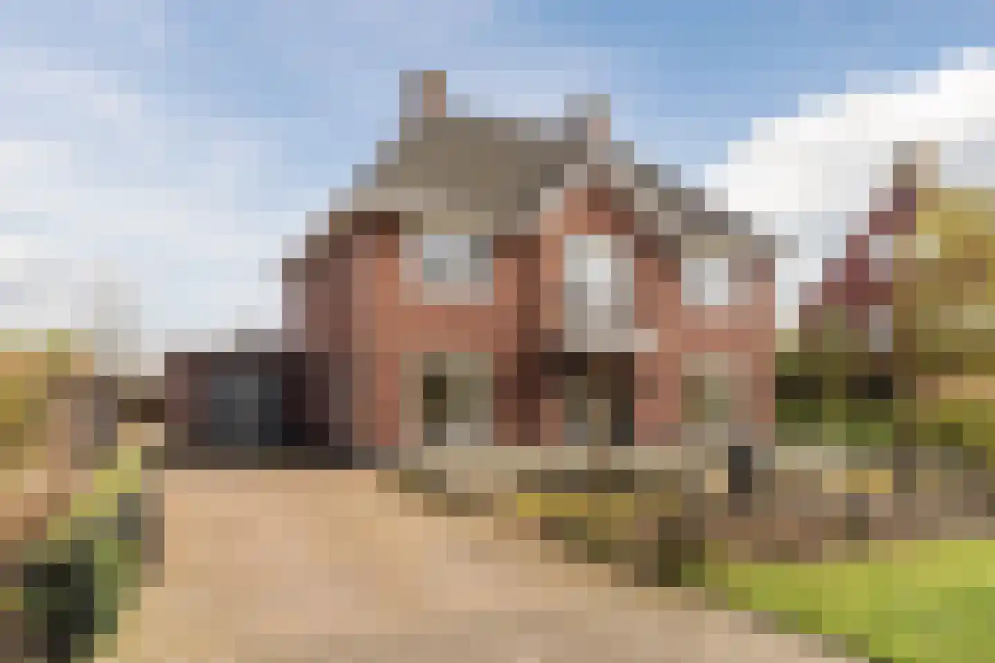 Bijenveld 14 Asten thumbnail 96
