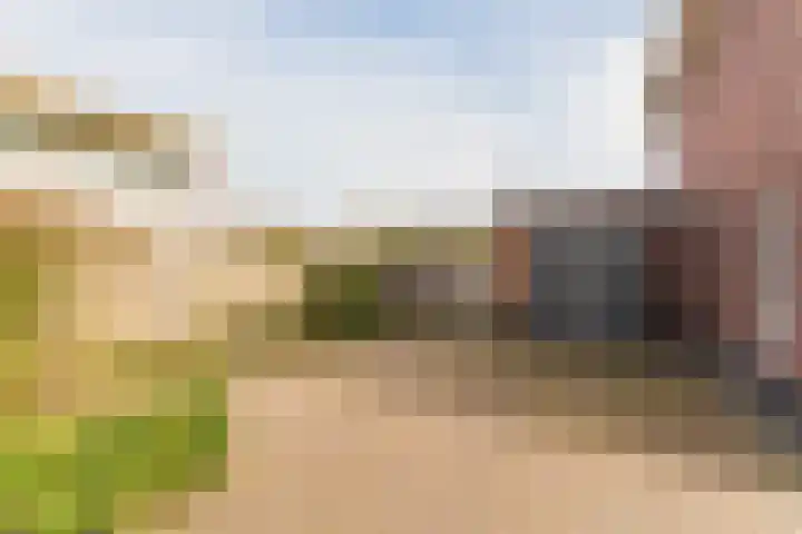 Bijenveld 14 Asten thumbnail 97