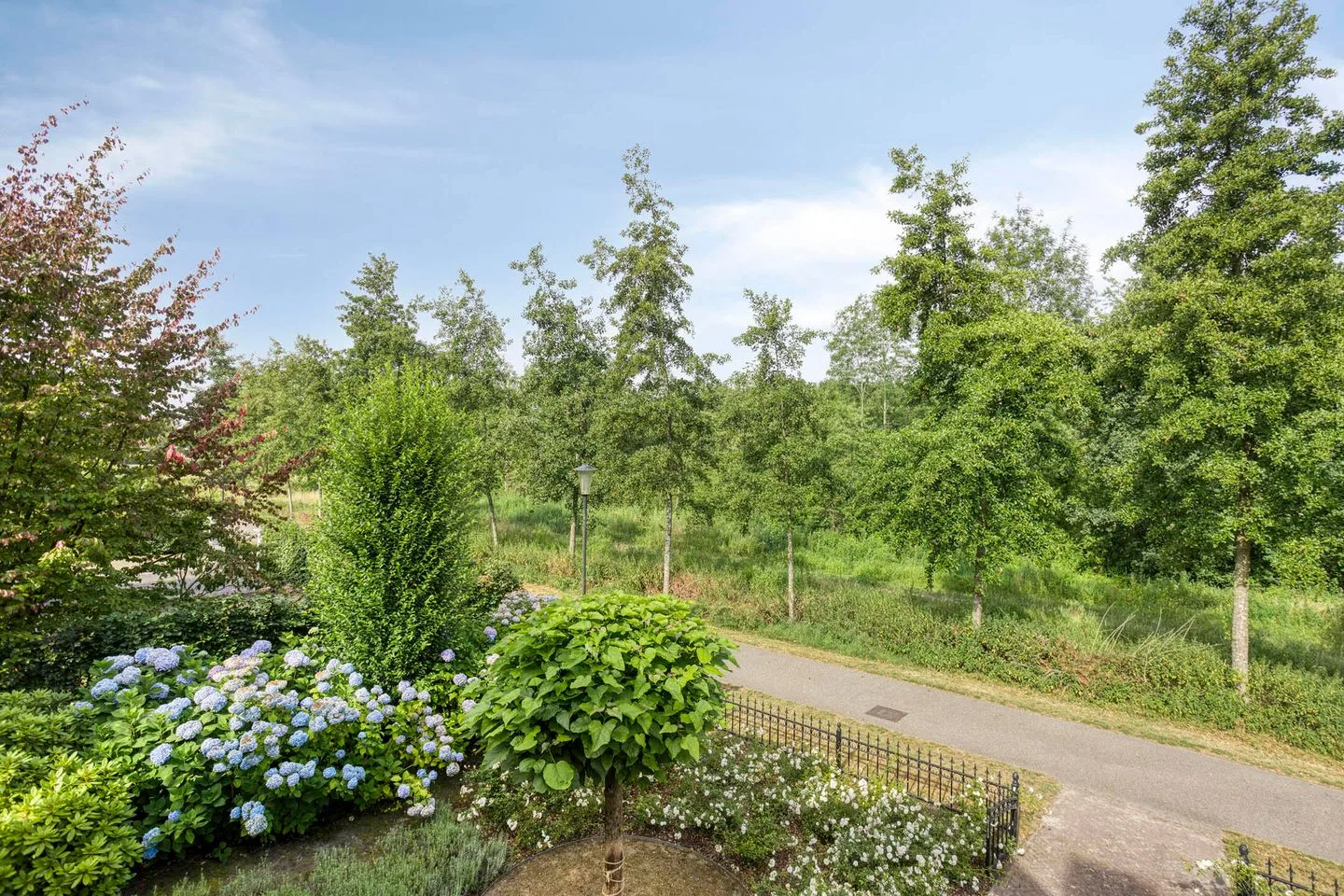 Bijenveld 14 Asten thumbnail 98