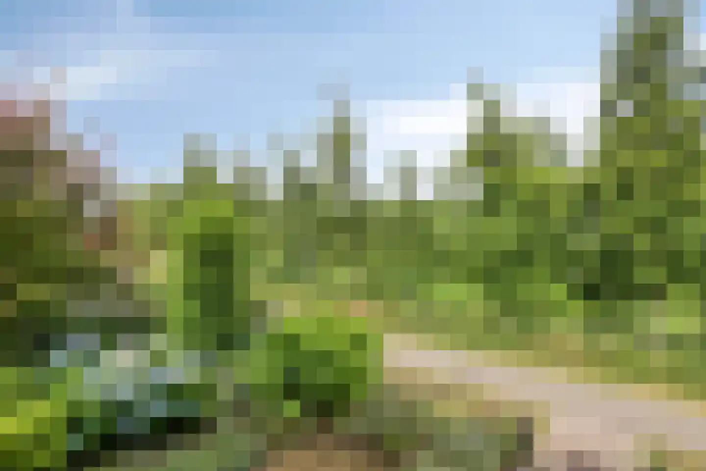 Bijenveld 14 Asten thumbnail 98