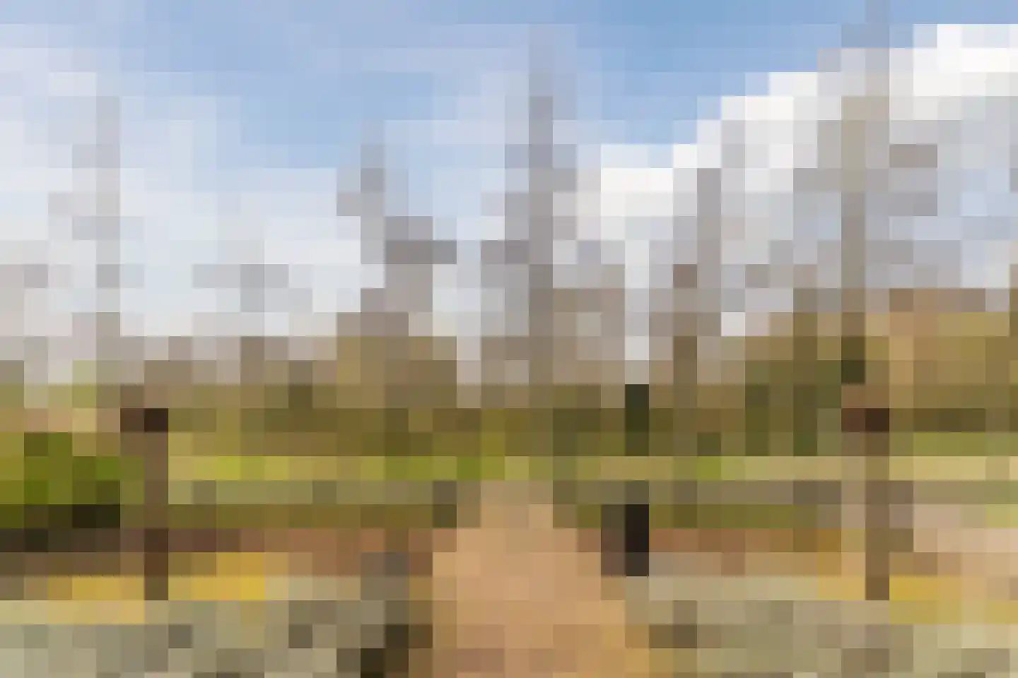 Bijenveld 14 Asten thumbnail 99