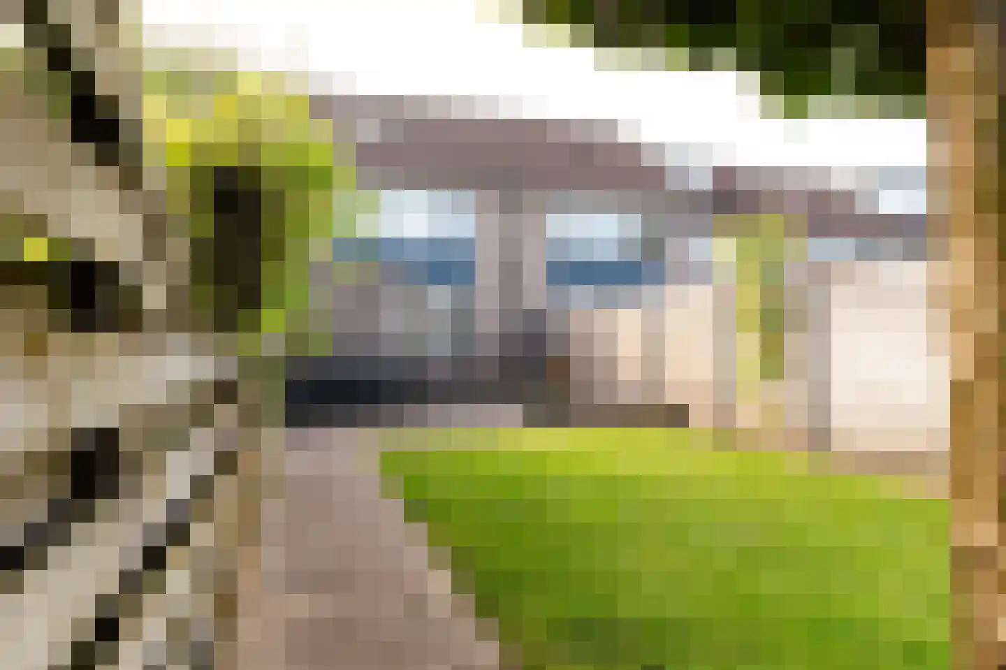 Bijenveld 15 Barneveld thumbnail 30