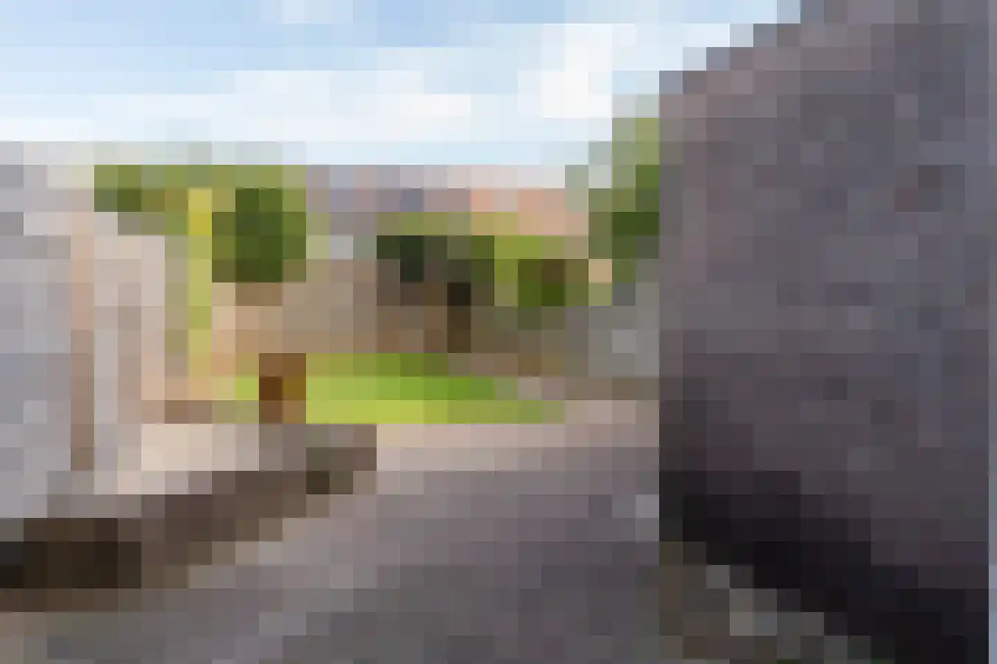 Bijenveld 15 Barneveld thumbnail 32