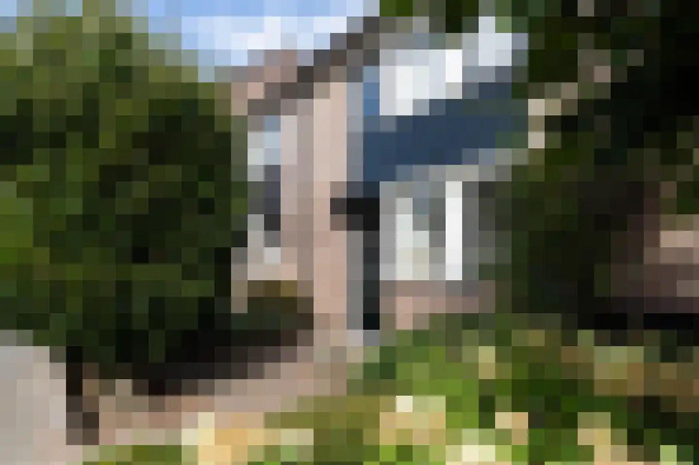 Bijenveld 15 Barneveld thumbnail 36