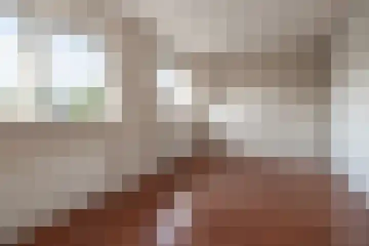 Bijenveld 4 Barneveld thumbnail 20