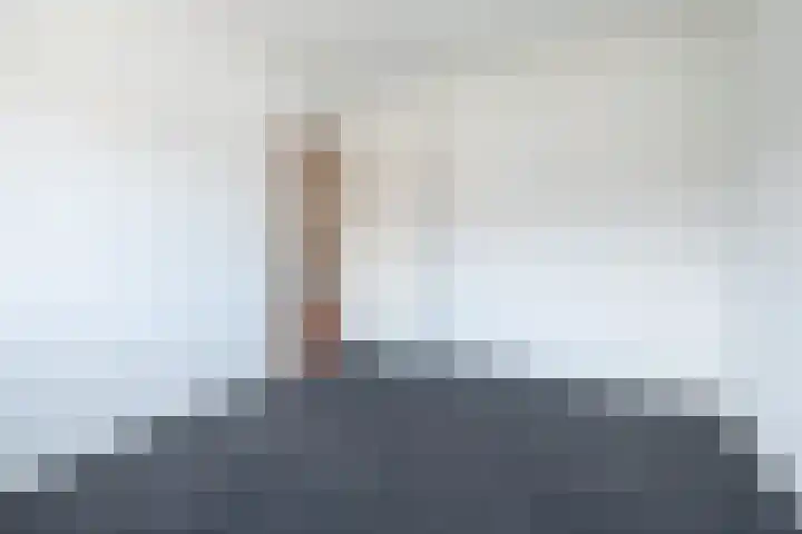 Bijenveld 4 Barneveld thumbnail 23