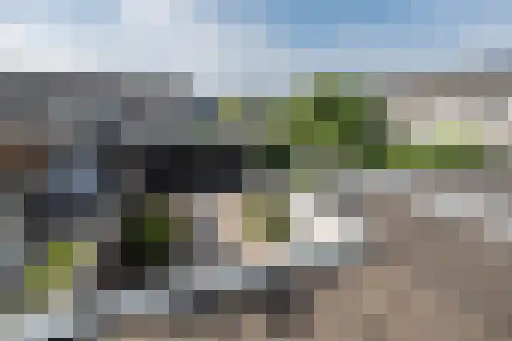Bijenveld 4 Barneveld thumbnail 33