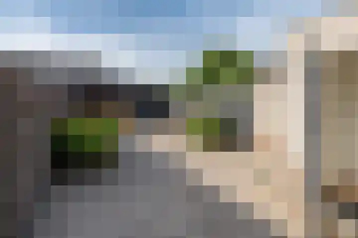 Bijenveld 4 Barneveld thumbnail 34