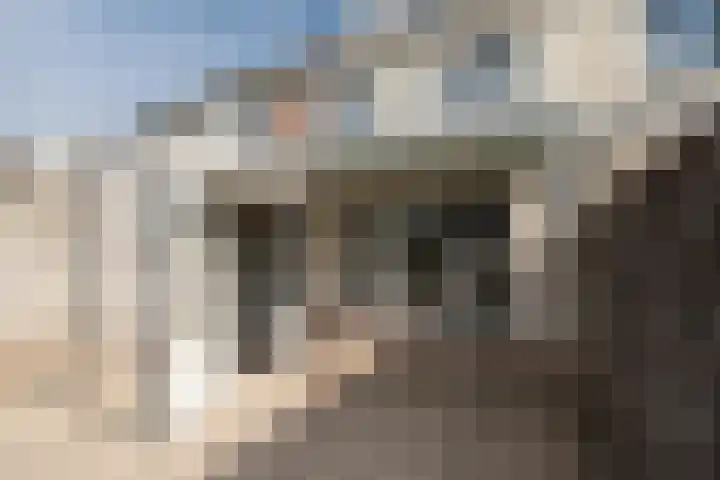 Bijenveld 4 Barneveld thumbnail 35