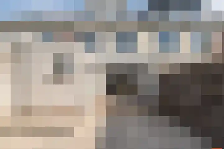 Bijenveld 4 Barneveld thumbnail 37