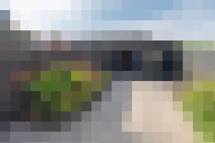 Bijenveld 4 Barneveld thumbnail 38
