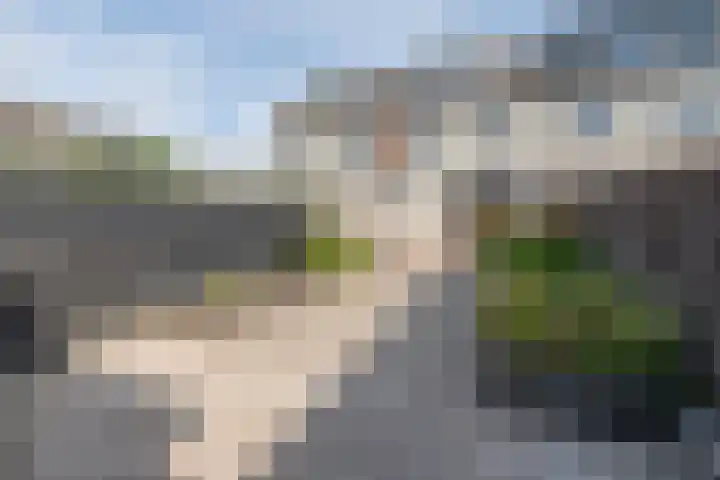 Bijenveld 4 Barneveld thumbnail 39